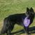 Susan Tessmer's profile image