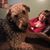 Karen Lensing's profile image