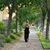 Sheila Sutton Wixo's profile image
