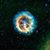 Teresa Howland's profile image