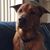 Melody Gillar Block's profile image