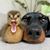 Teresa Teri Hamm Woods's profile image