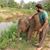 Pulkit Taunk's profile image