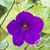 Kathy Bremer's profile image