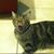 Cathy Smith's profile image