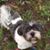 Tracy Jamison's profile image