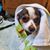 Tanja Benesch's profile image