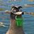 Dennis Wiiniciaki Valdez-King's profile image