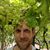 David Knott's profile image