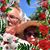 Teresinha Figueiredo's profile image