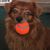 Randy Hayden's profile image