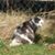 Linda J. Chapman's profile image