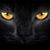 Susan Sakio's profile image
