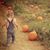 Bethany Morrison Christian's profile image