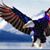 Tim Dones's profile image