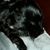 Jean Kurtz's profile image