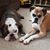 Richelle Garcia-Bobek's profile image