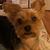 Lisa J Sullivan's profile image