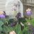 Teresa Miller's profile image
