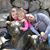 Jennifer Pulver's profile image