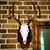 Michael L. Taylor's profile image