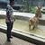 Mohamed Anees's profile image