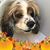 Kerry David's profile image