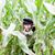 Amanda Ricciuti Monari's profile image