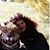 Sharmyn Lilly's profile image