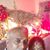 Stanli Shyamala's profile image