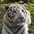 Jayne Turner's profile image