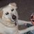 Donna Schaber Lanham's profile image