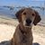 Theresa Hoberman's profile image