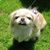 Paul Camoia's profile image