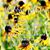 Susan Imler's profile image