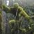 Tim Hadley's profile image