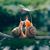 Lynn Boler's profile image