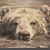 Tony Campbell's profile image