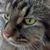 Robin Robinson's profile image