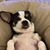 Joanne Lunceford's profile image