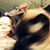 Kris Ermis's profile image