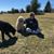 Lynn Hulsey's profile image