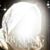 Gail Lewis-jacksonLyons's profile image