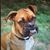 Emily Eubanks's profile image