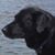 Troy Loetzerich's profile image