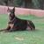 Gina Bolger's profile image