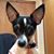 Connie Carr Patton's profile image