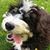 Steve Depping's profile image