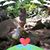 Judy Dascoli's profile image