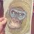Linda Toback Gullotto's profile image